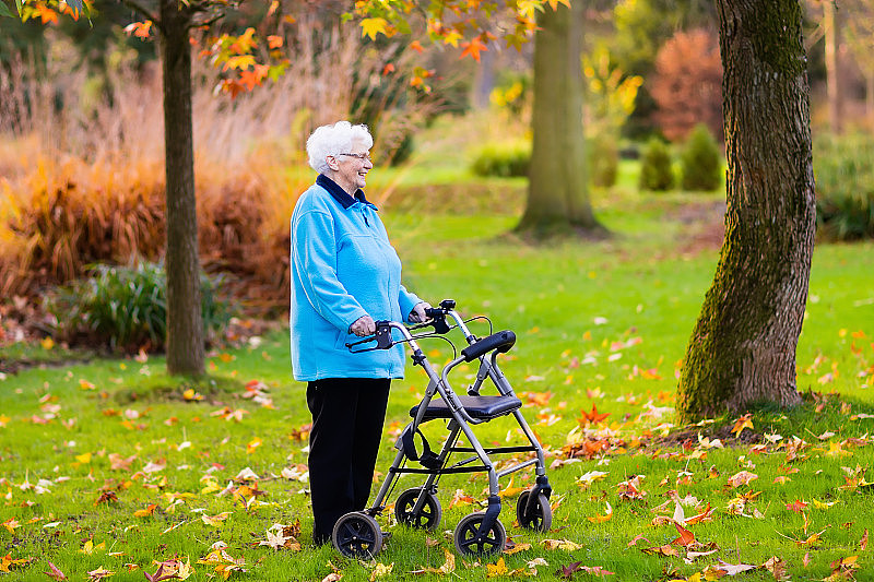 秋天公园里有个带着散步器的老妇人