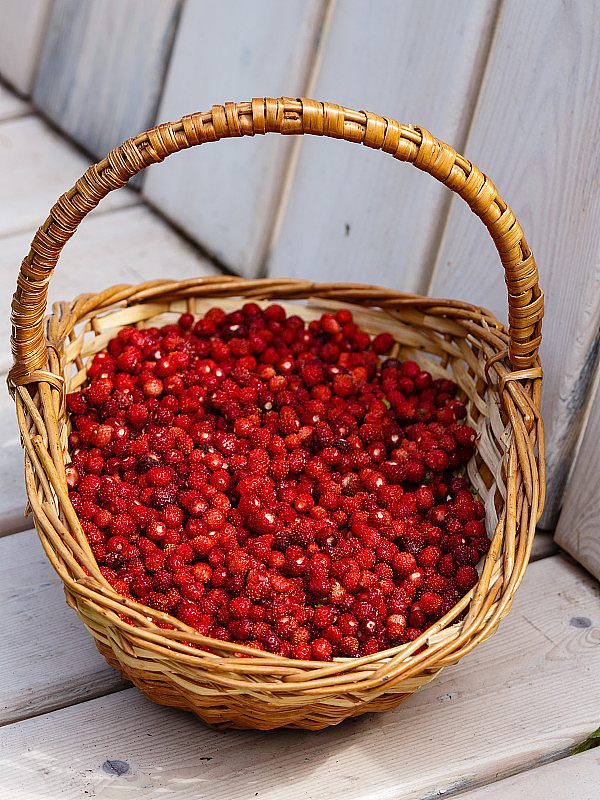 篮子里装满了野草莓