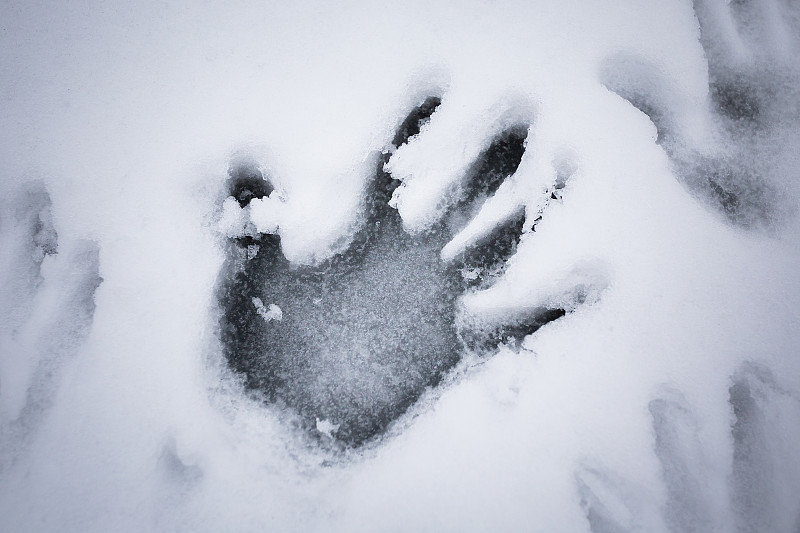 雪地手印图片