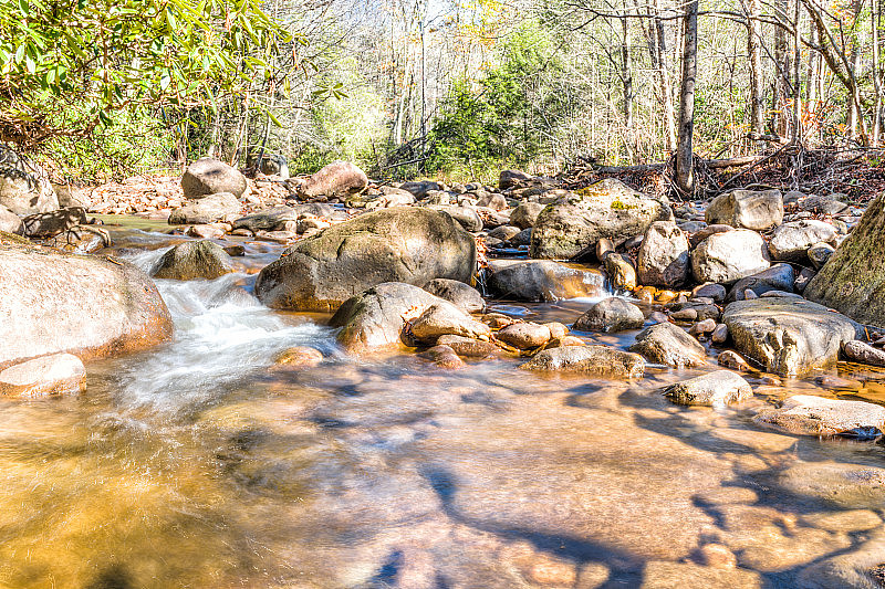 浅岩石溪流的特写与流水和瀑布在秋天与绿色的树叶，石头和平滑流动的小溪