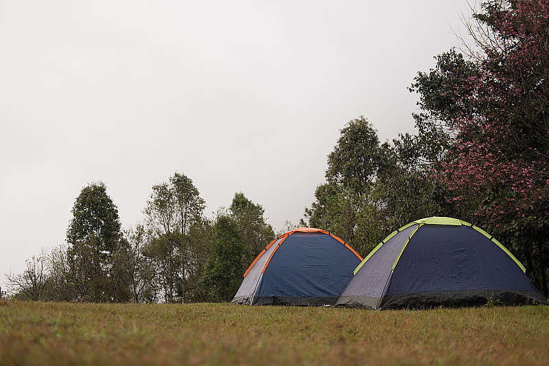 草坪上的游客帐篷。在森林露营。旅游、度假的概念