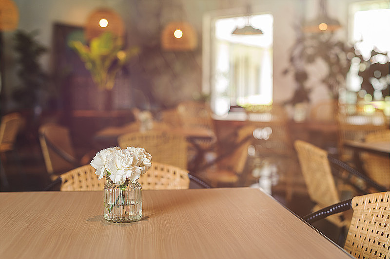 咖啡桌上的玻璃花瓶里装着白色康乃馨